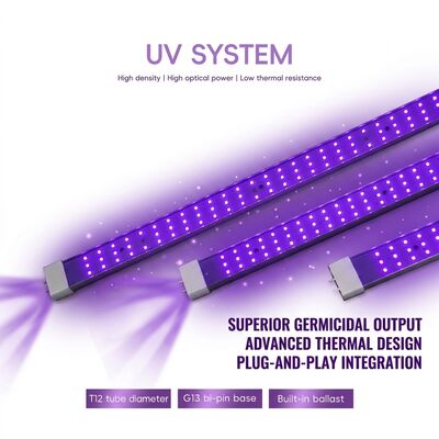 UVC Solutions 365nm 370W 100W 120W УФ Лампы гермицидные Поставщики Дальнего УФК Свет эксимерная лампа