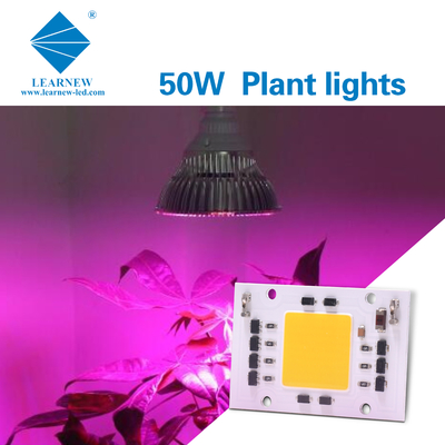 Полный спектр AC 50w LED COB Chip 200v 240v 4046 AC LED Chip Для выращивания света