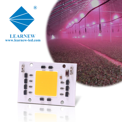 Полный спектр AC 50w LED COB Chip 200v 240v 4046 AC LED Chip Для выращивания света