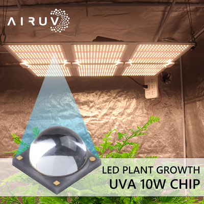 10W 365nm 385nm 395nm 6-7V Uva 3W привело обломоки для УЛЬТРАФИОЛЕТОВЫЙ лечить