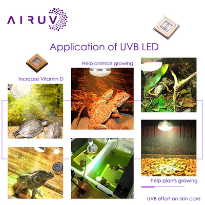 Уфа-УВБ УФ-ЛЕД-Чип 3535 3838 2828 1616 1w 3w 10w 50w 100w 200w 300w Led UVc Led Chip