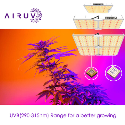 10w 20w 100w UVA UVB UVCLED COB Высокая эффективность 365nm 385nm 395nm Снижение затрат