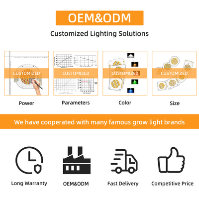 Высокопроизводительное бицветное 300W 6060 Flip Chip Custom Cob Led Chip для коммерческого светодиодного освещения