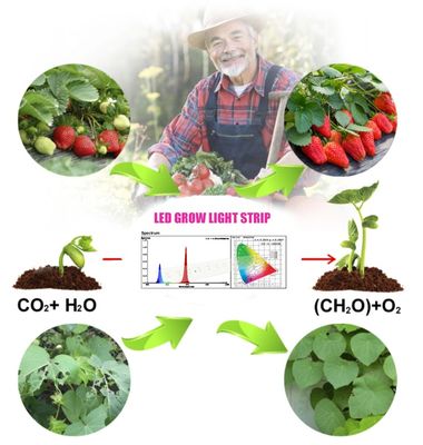 1W SMD 3030 Синий светодиодный чип для выращивания растений 440-470 нм 300 мА 3.0-3.4 В