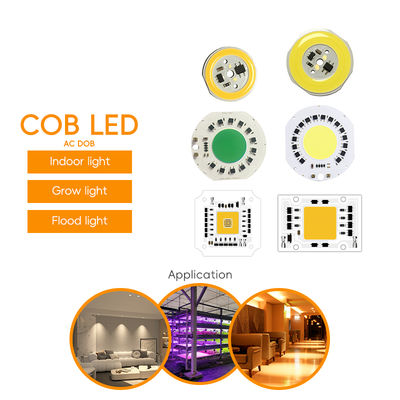 50W AC 220V-240V LED COB Chip with 120° Viewing Angle 50000 Working Hours and 2-Year Warranty for Outdoor Lighting