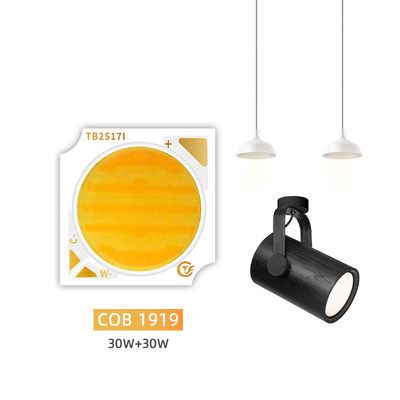 Новый продукт Bi-Color 1919 Chip White + Warm White 1919 Bi-color SMD LED 18w 24w 25w 30w