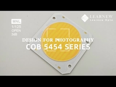 5454 Чип с двойной цветовой температурой