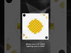 3838 Двухцветный светодиод COB